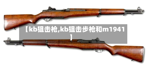 【kb狙击枪,kb狙击步枪和m1941】-第1张图片