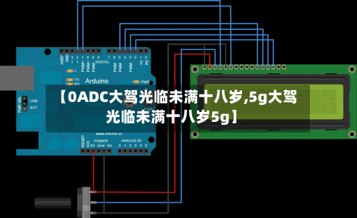 【0ADC大驾光临未满十八岁,5g大驾光临未满十八岁5g】-第1张图片