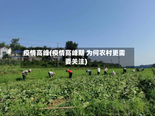 疫情高峰(疫情高峰期 为何农村更需要关注)-第2张图片