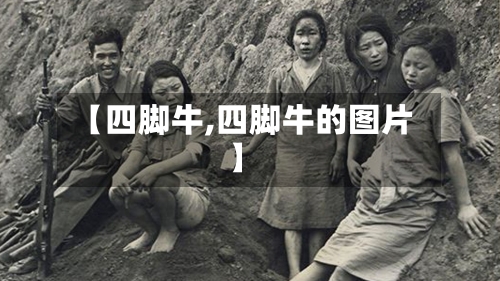 【四脚牛,四脚牛的图片】-第1张图片