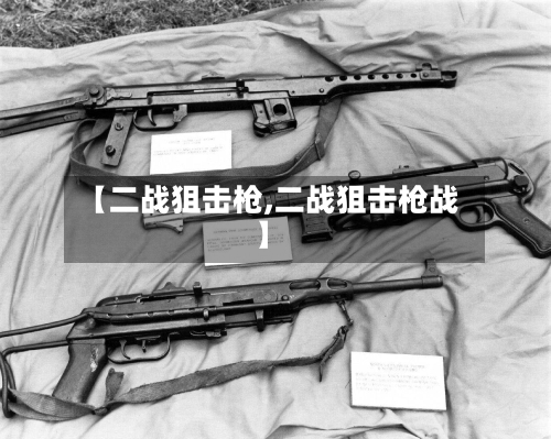 【二战狙击枪,二战狙击枪战】-第1张图片