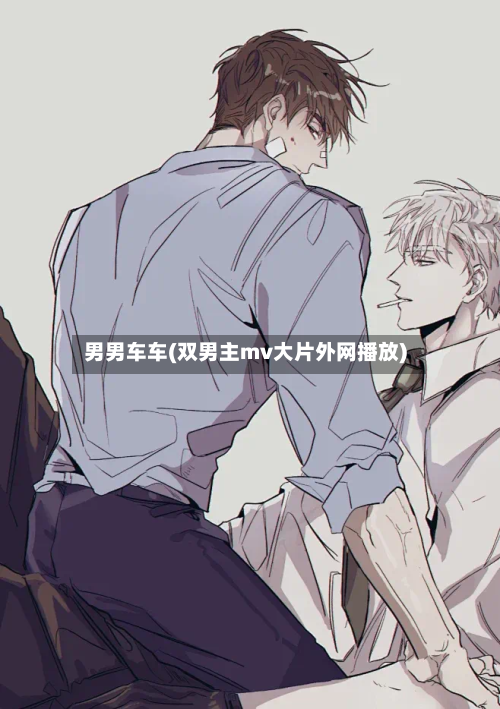 男男车车(双男主mv大片外网播放)-第3张图片