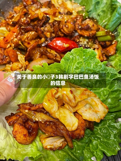 关于善良的小峓子3韩剧字巴巴鱼汤饭的信息-第2张图片