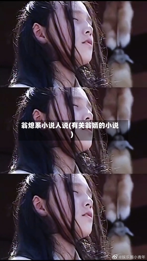 翁熄系小说人说(有关翁婿的小说)-第2张图片