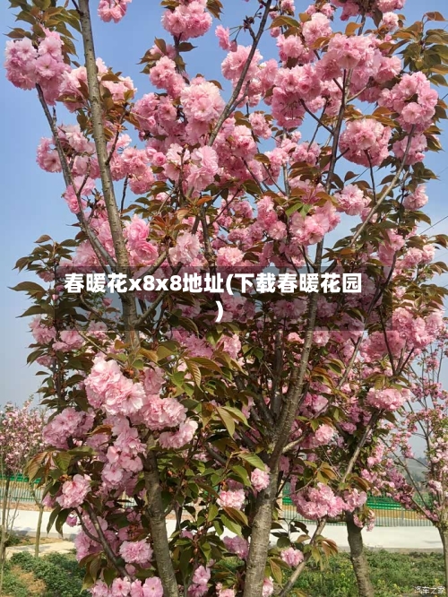 春暖花x8x8地址(下载春暖花园)-第1张图片