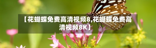 【花蝴蝶免费高清视频8,花蝴蝶免费高清视频8K】-第2张图片