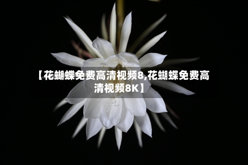 【花蝴蝶免费高清视频8,花蝴蝶免费高清视频8K】-第3张图片