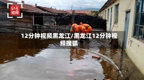 12分钟视频黑龙江/黑龙江12分钟视频搜狐-第3张图片