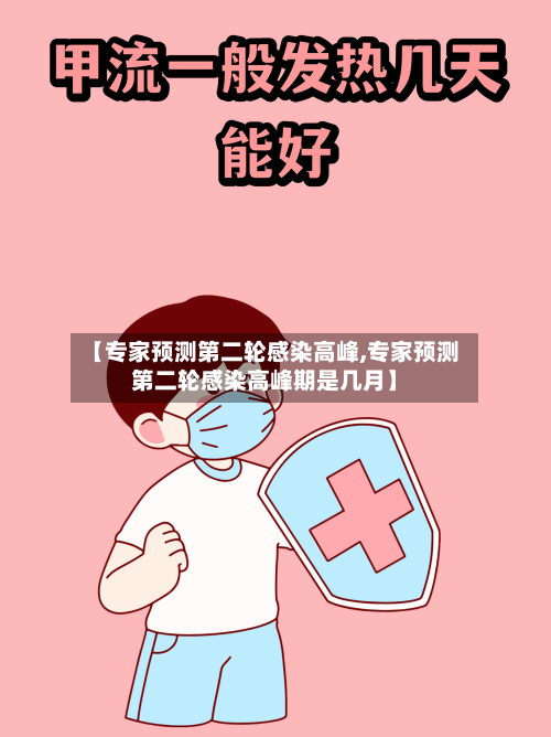 【专家预测第二轮感染高峰,专家预测第二轮感染高峰期是几月】-第3张图片
