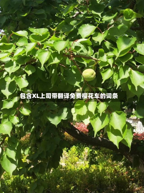 包含XL上司带翻译免费樱花车的词条-第2张图片