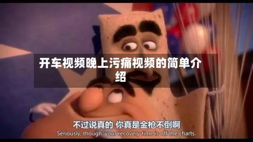 开车视频晚上污痛视频的简单介绍-第3张图片