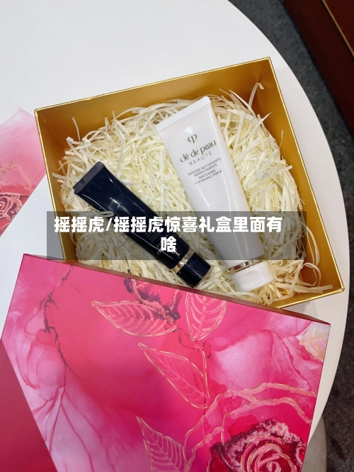 摇摇虎/摇摇虎惊喜礼盒里面有啥-第1张图片