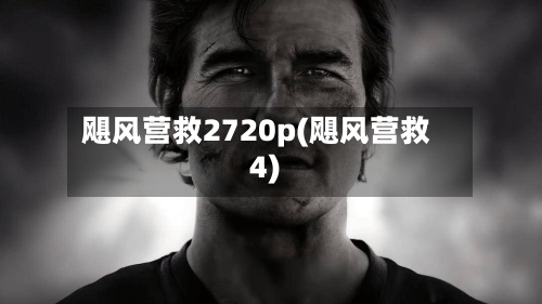 飓风营救2720p(飓风营救4)-第3张图片