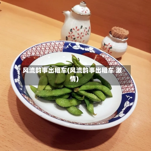 风流韵事出租车(风流韵事出租车 激情)-第1张图片
