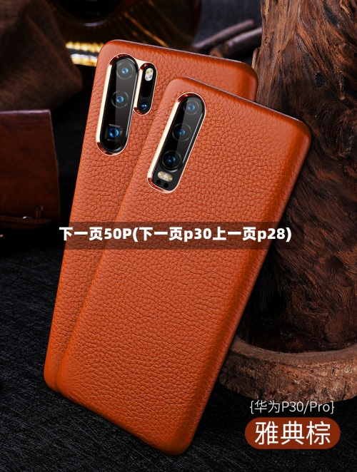 下一页50P(下一页p30上一页p28)-第1张图片