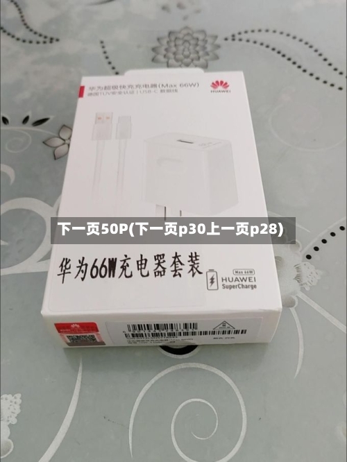 下一页50P(下一页p30上一页p28)-第2张图片