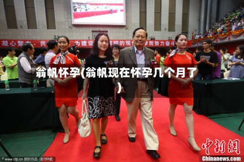 翁帆怀孕(翁帆现在怀孕几个月了)-第1张图片