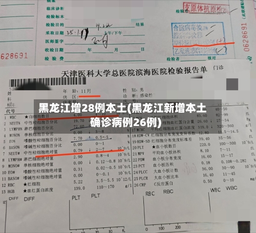 黑龙江增28例本土(黑龙江新增本土确诊病例26例)-第2张图片