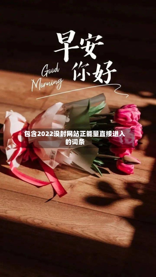 包含2022没封网站正能量直接进入的词条-第1张图片