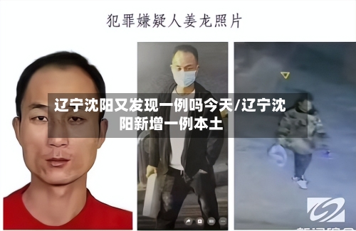 辽宁沈阳又发现一例吗今天/辽宁沈阳新增一例本土-第1张图片