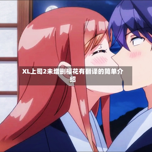 XL上司2未增删樱花有翻译的简单介绍-第2张图片